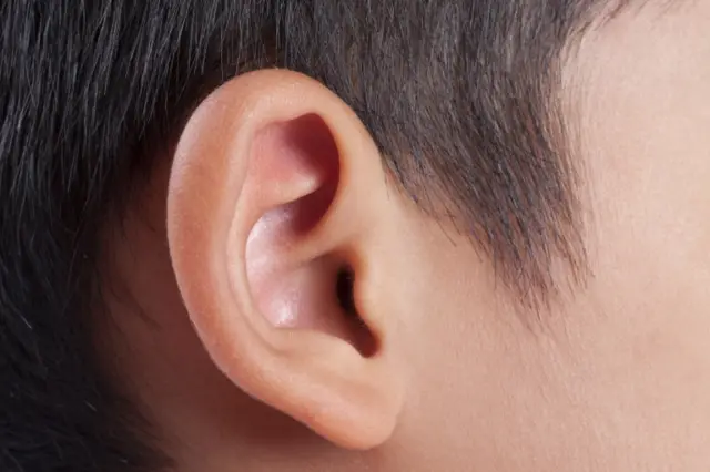 An ear