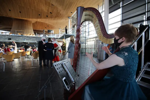 Harpist