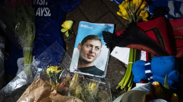 A picture of Sala surrounded by flowers