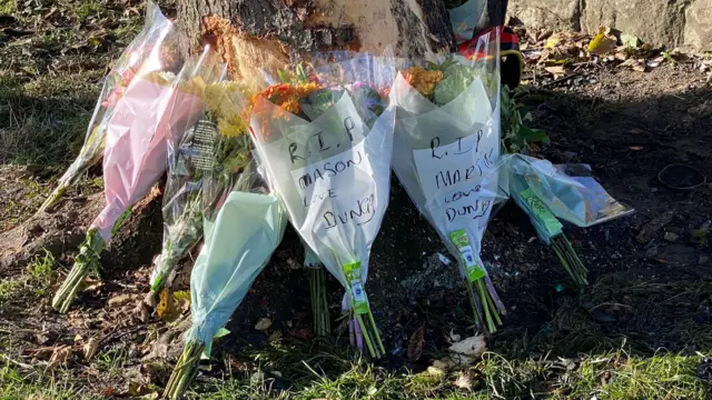 Flowers left by a tree