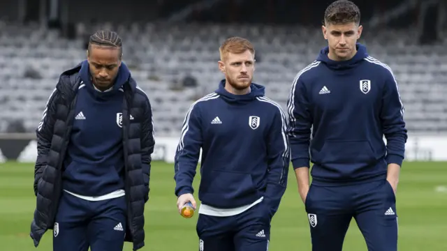 Fulham players walk on the pitch