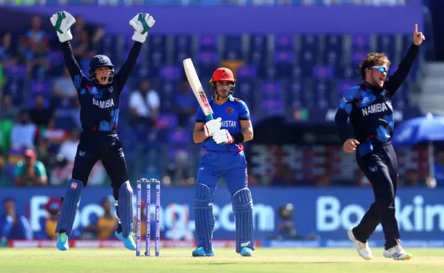 Namibia appeal for lbw decision