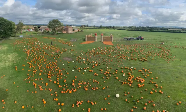 The Whole Hogg Farm Shop