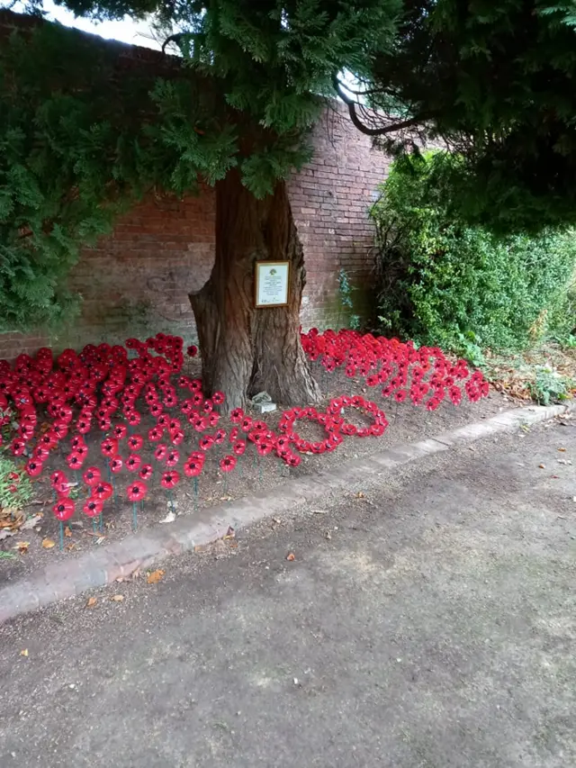 One of the displays