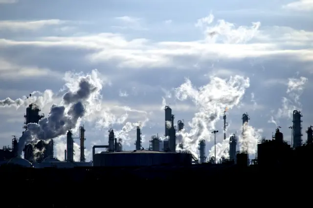 Petrochemical plant