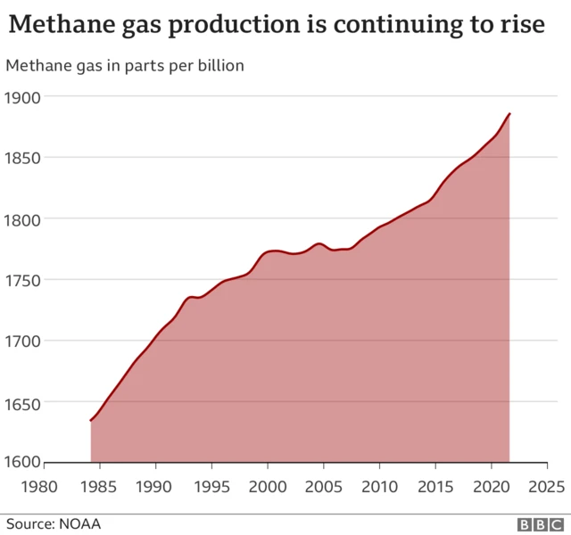 Infographic on methane