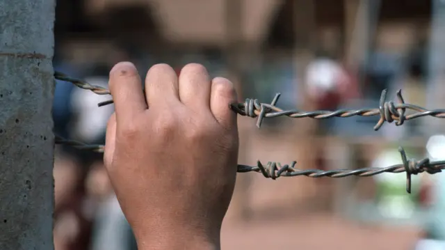 Hand holding wire fence