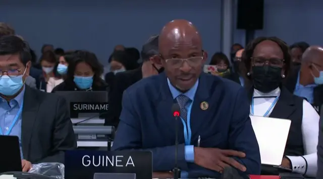 Guinea delegate