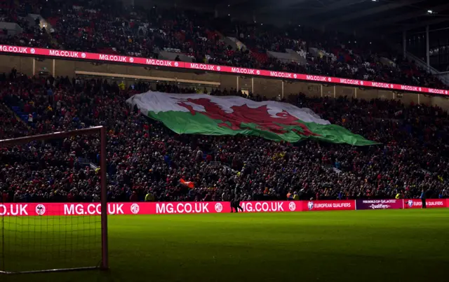 Wales crowd