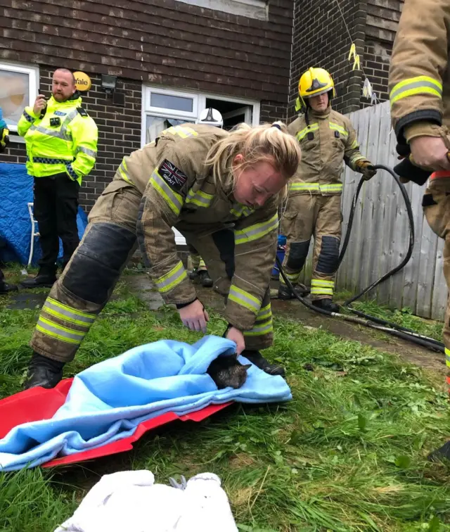 Firefighter Joanne Grout resuscitates 'Lucky' the cat