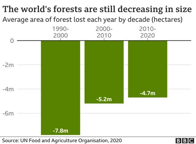 BBC graph showing average area of forest lost per year