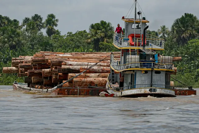 A vessel transports logs on a raft along the Murutipucu River in the municipality of Igarape-Miri in the region of Baixo Tocantins, northeast of Para, Brazil, on September 18, 2020.