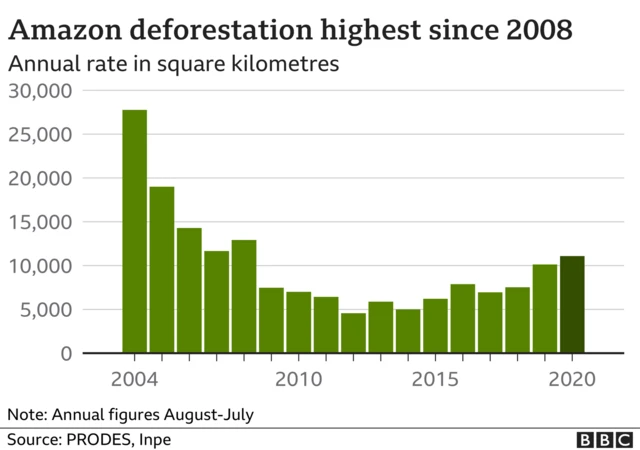 Amazon deforestation graph