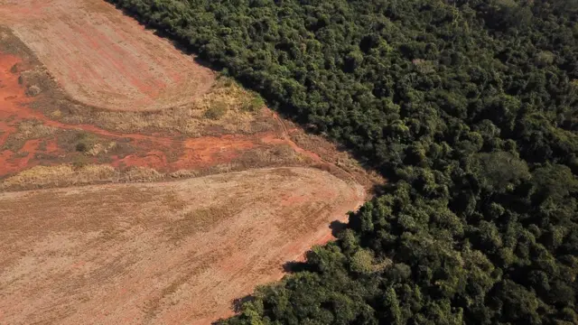 Aerial view of deforestation on the border between Amazonia and Cerrado in Nova Xavantina, Mato Grosso state, Brazil