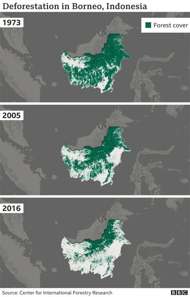 Deforestation graphic