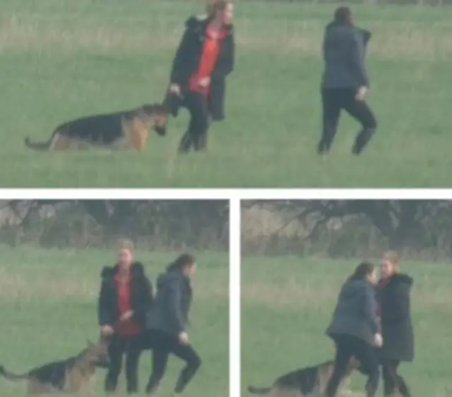 Images of women in field with dog