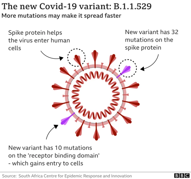 A graphic of the virus, illustrating the changes to spike proteins