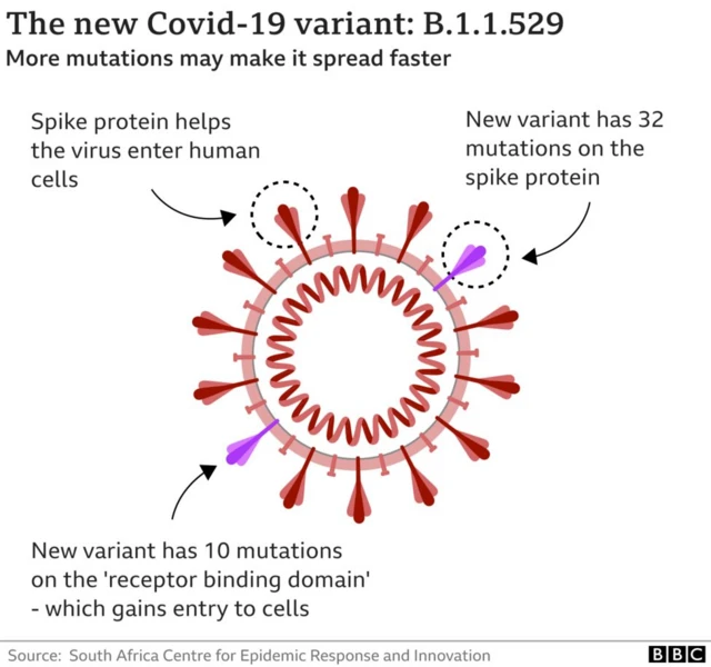 Picture showing new Omicron variant and the mutations to its spike proteins