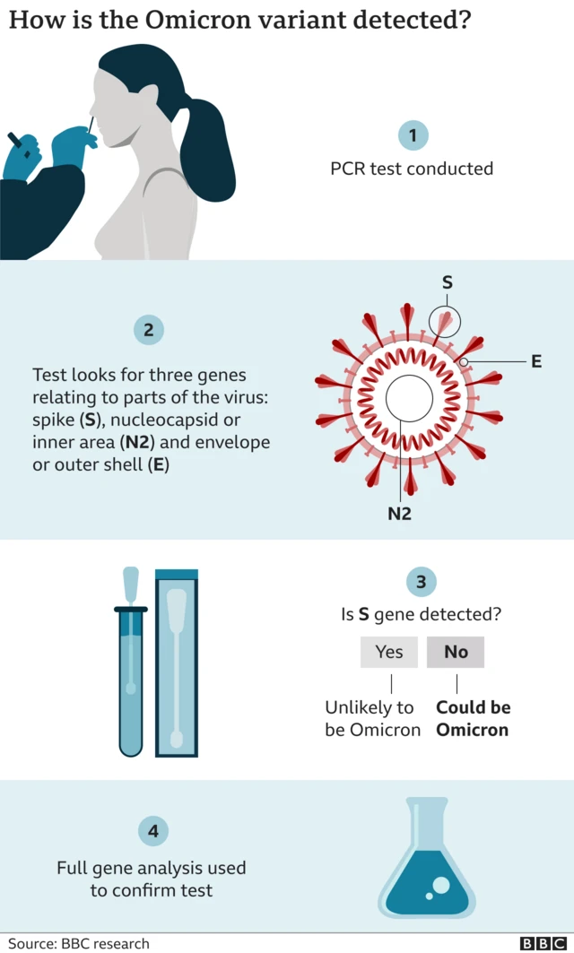 Picture explaining the process used to identify Omicron cases