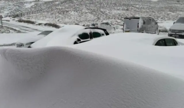 Snowed in cars