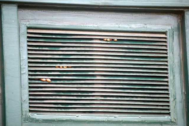 Arrested prisoners' fingers are seen through a window