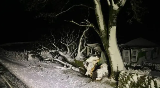 Fallen tress in North Yorkshire caused travel disruption