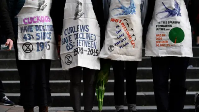 Protesters wearing aprons with messages about the decline of birds