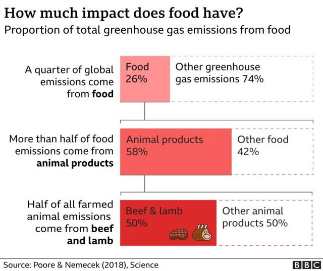 Diet impact graphic