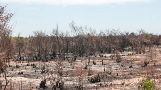 Drought in Madagascar