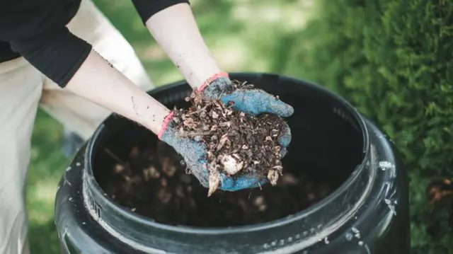 Stock image of garden compost