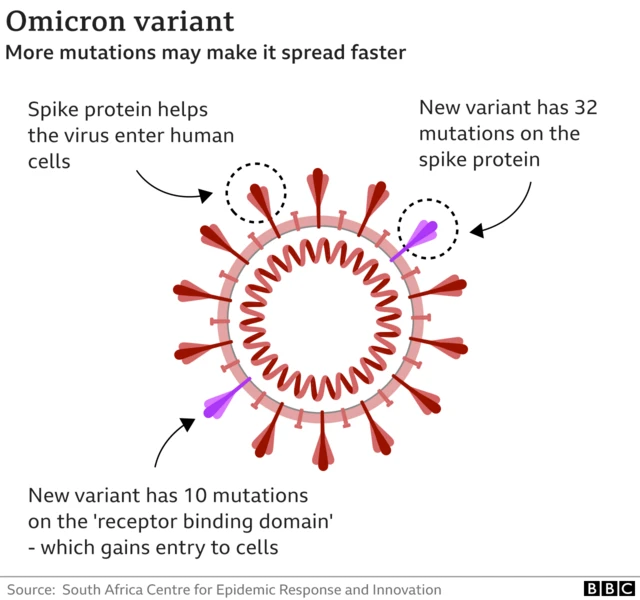 Omicron graphic