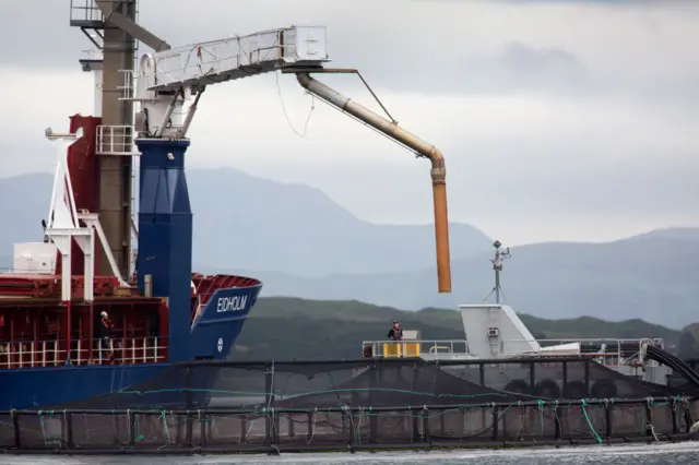 A ship supplies feed to salmon farms on the west coast of Scotland under surveillance by Scottish Salmon Watch, an environmental pressure group