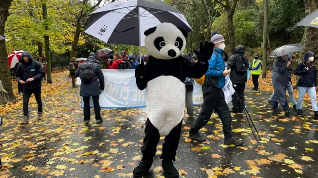 WWF person in panda suit