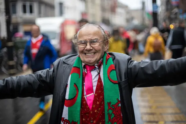 Wales rugby fan