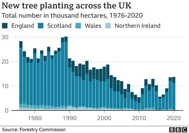 BBC graph showing new tree planting across the UK in bar chart