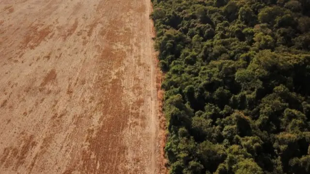 Deforestation in Brazil