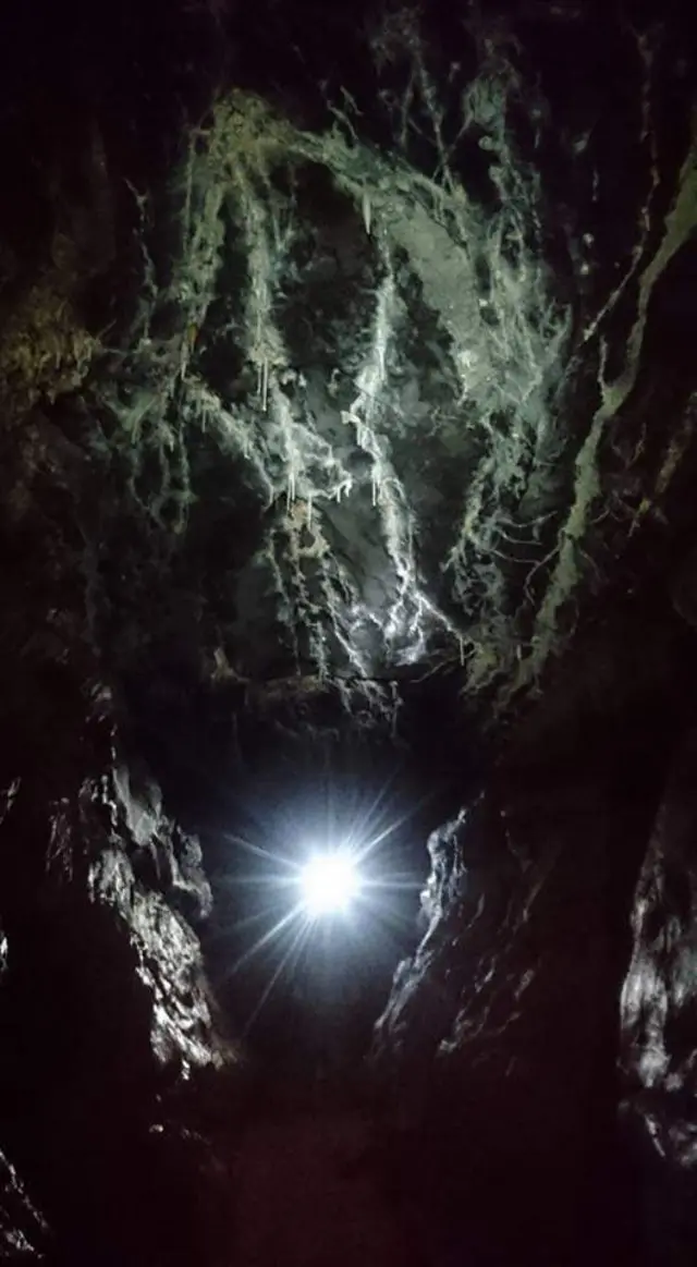 Ogor Ffynnon Ddu cave system