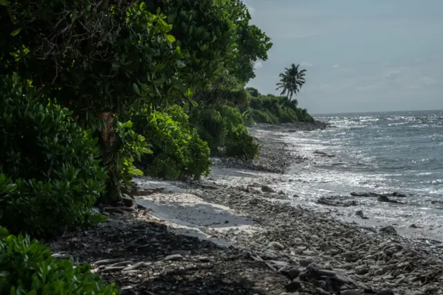 Protecting wetlands in the Maldives helps to combat rising sea levels