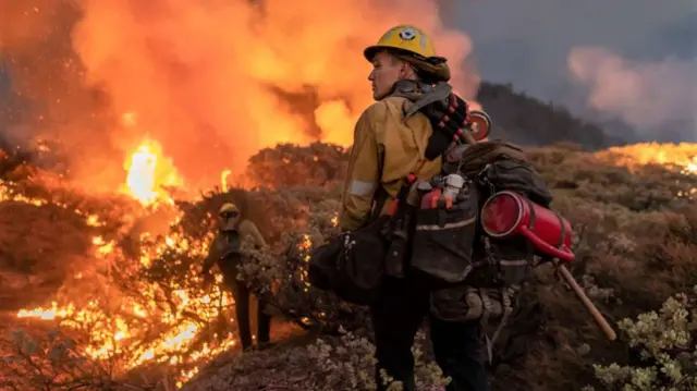 A firefighter tackles a forest fire in California