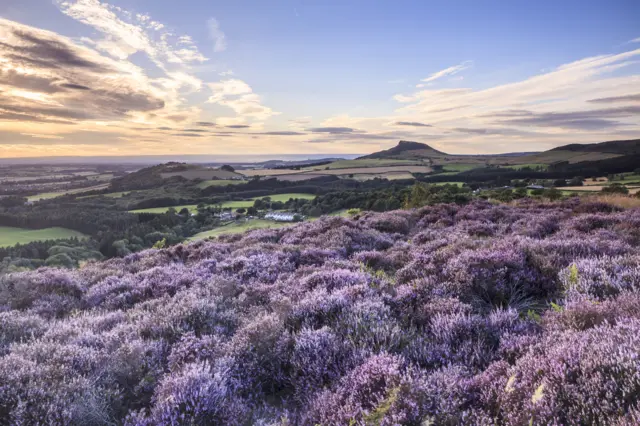 Roseberry Topping in the North York Moors