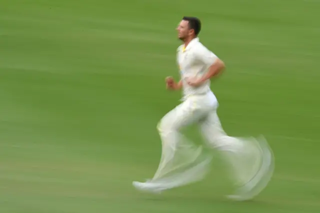 Hazlewood