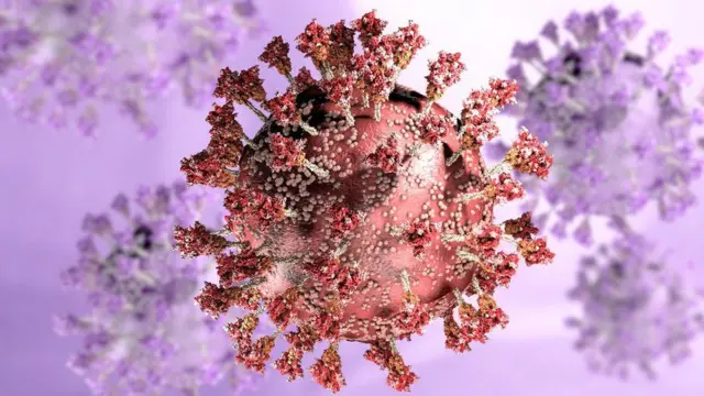 Coronavirus