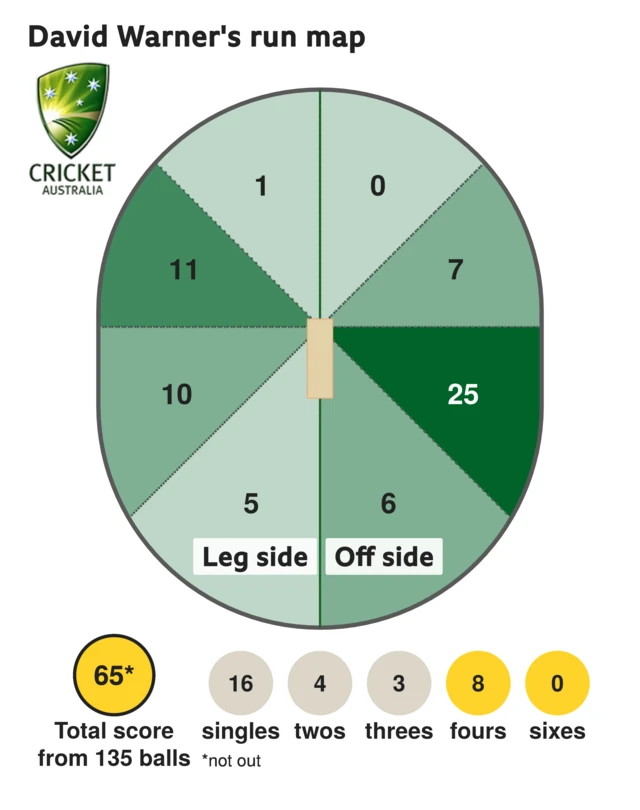 David Warner run map