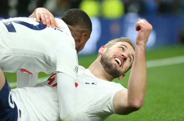 Harry Kane celebrates