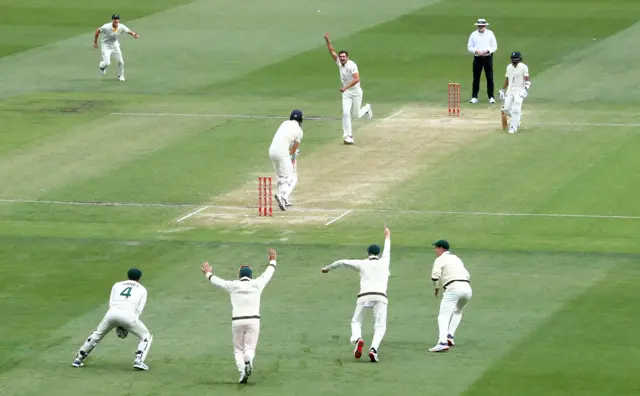 Australia's Mitchell Starc celebrates dismissing England's Zak Crawley