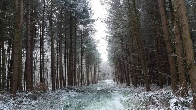 Frost in Chesterfield