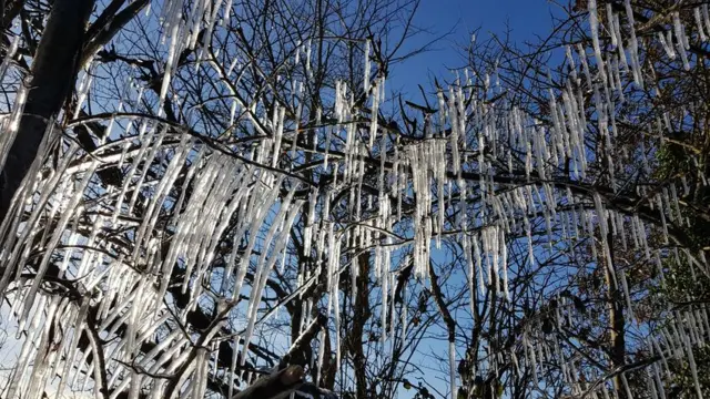 icicles in Cotes