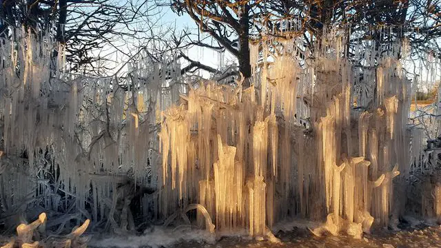 Trysull icicles