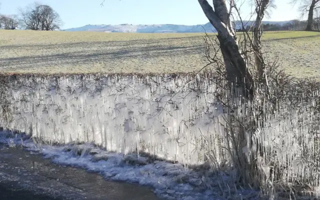 Ice hedge