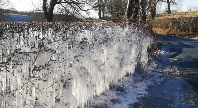 Ice hedge